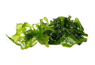 Omega-3 – uit algenolie (niet uit visolie)