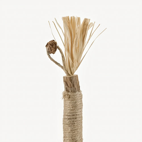 Natürliche Matatabi-Zahnpflege-Sticks