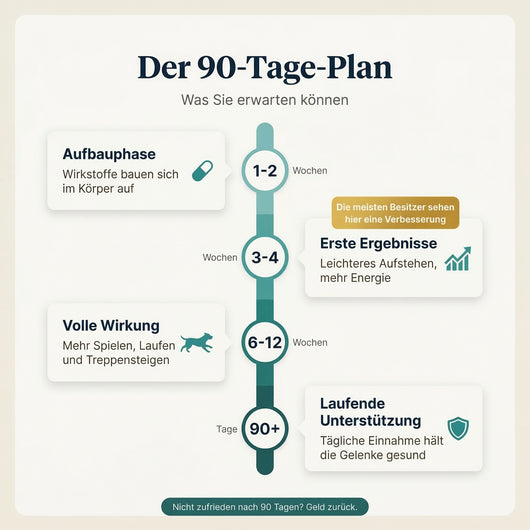 Kausnacks für Hüfte und Gelenke