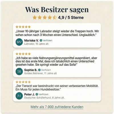 Kausnacks für Hüfte und Gelenke