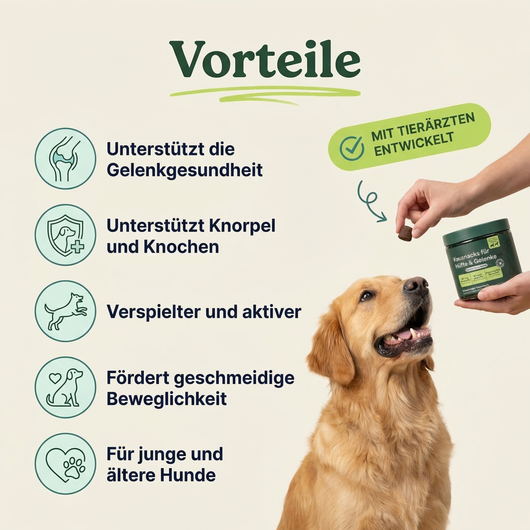 Kausnacks für Hüfte und Gelenke