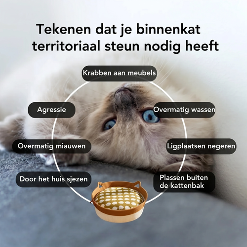 Instinctmand | Ontdek het eerste wetenschappelijk onderbouwde natuurlijke territorium voor binnenkatten