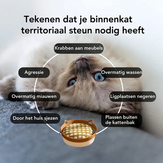 Instinct Mand | Ontdek het eerste wetenschappelijk onderbouwde natuurlijke territorium voor binnenkatten