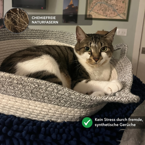 Instinkt Katzenkorb | Entdecke den ersten wissenschaftlich fundierten natürlichen Rückzugsort für Wohnungskatzen