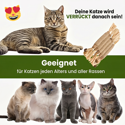 Natürliche Matatabi-Zahnpflege-Sticks