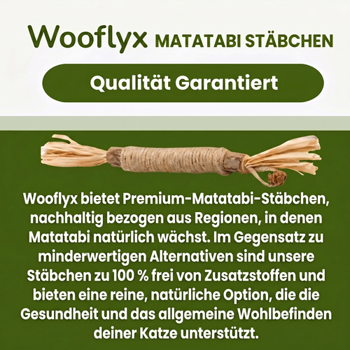 Natürliche Matatabi-Zahnpflege-Sticks