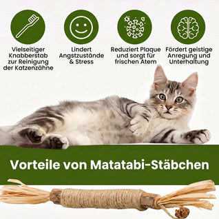 Natürliche Matatabi-Zahnpflege-Sticks